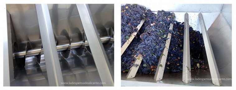 Tolva uva en bodega
