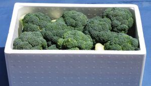 Cajas de porexpán con brócoli