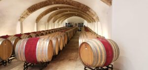El Sequé vino tinto - Bodegas y viñedos