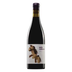 Sofía Cañizares Giró vino tinto