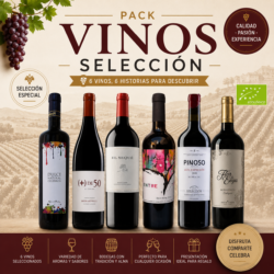 Pack Selección Vinos - Imagen 1