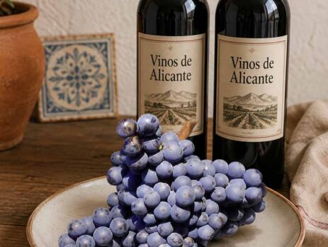Uva Monastrell - Vinos de Alicante